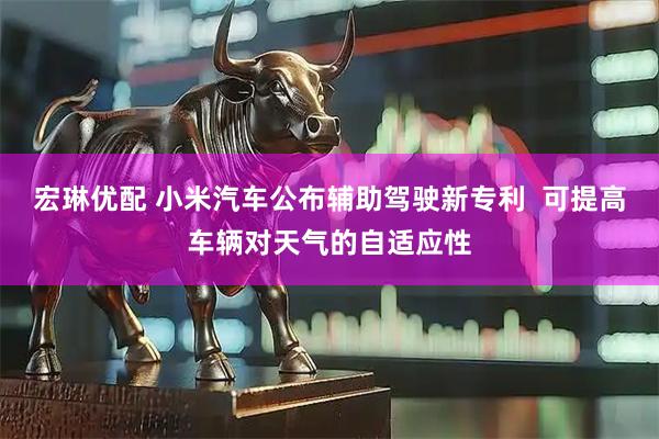 宏琳优配 小米汽车公布辅助驾驶新专利  可提高车辆对天气的自适应性