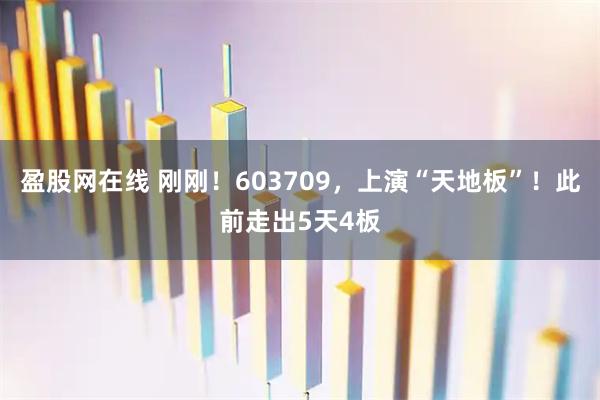 盈股网在线 刚刚！603709，上演“天地板”！此前走出5天4板