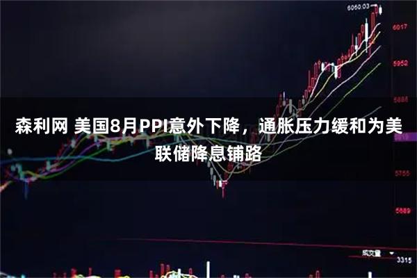 森利网 美国8月PPI意外下降，通胀压力缓和为美联储降息铺路