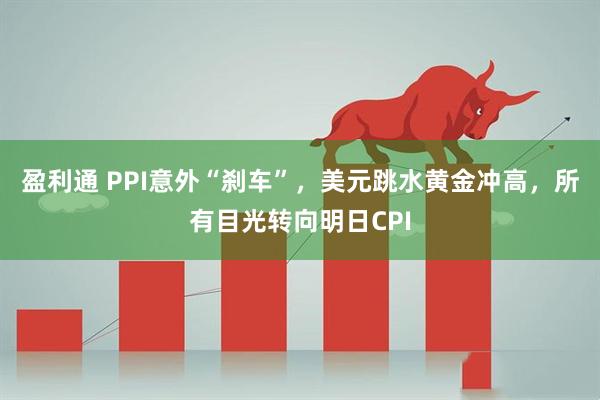 盈利通 PPI意外“刹车”，美元跳水黄金冲高，所有目光转向明日CPI