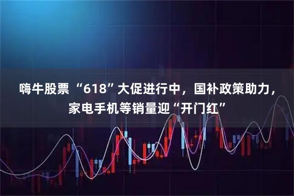 嗨牛股票 “618”大促进行中，国补政策助力，家电手机等销量迎“开门红”