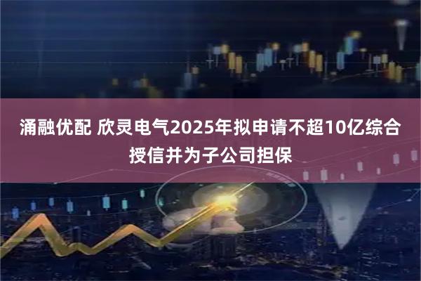 涌融优配 欣灵电气2025年拟申请不超10亿综合授信并为子公司担保