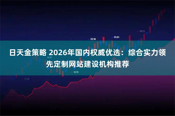 日天金策略 2026年国内权威优选：综合实力领先定制网站建设机构推荐